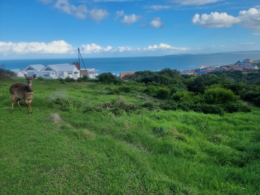 0 Bedroom Property for Sale in Dana Bay Western Cape